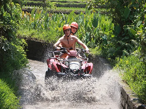 Komodo Tours & cruises