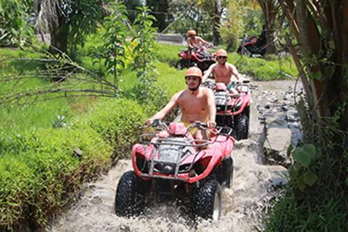 Komodo Tours & cruises
