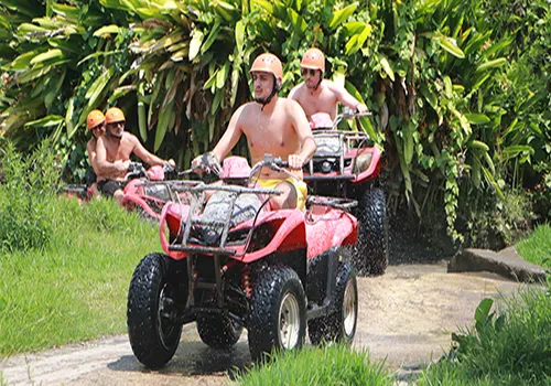 Komodo Tours & cruises