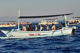 lovina dolphin tour