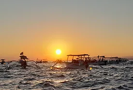 north bali dolphin tour