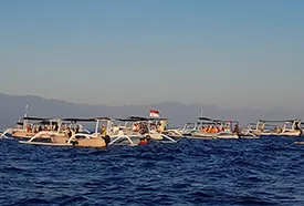 sunrise dolphin tour lovina