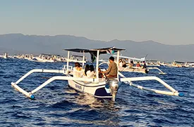 lovina snorkeling tour