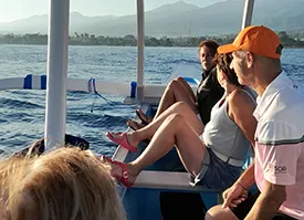 bali dolphin tour lovina