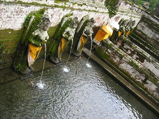 private tour to Goa Gajah