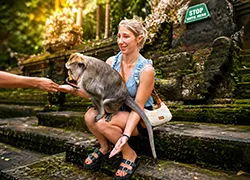 monkey forest bali tour