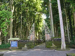 monkey forest bali tour