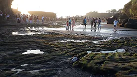 Tamblingan bali tour