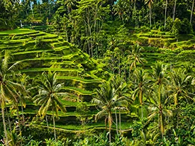 Taman Ujung east bali tour
