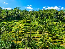Taman Ujung east bali tour