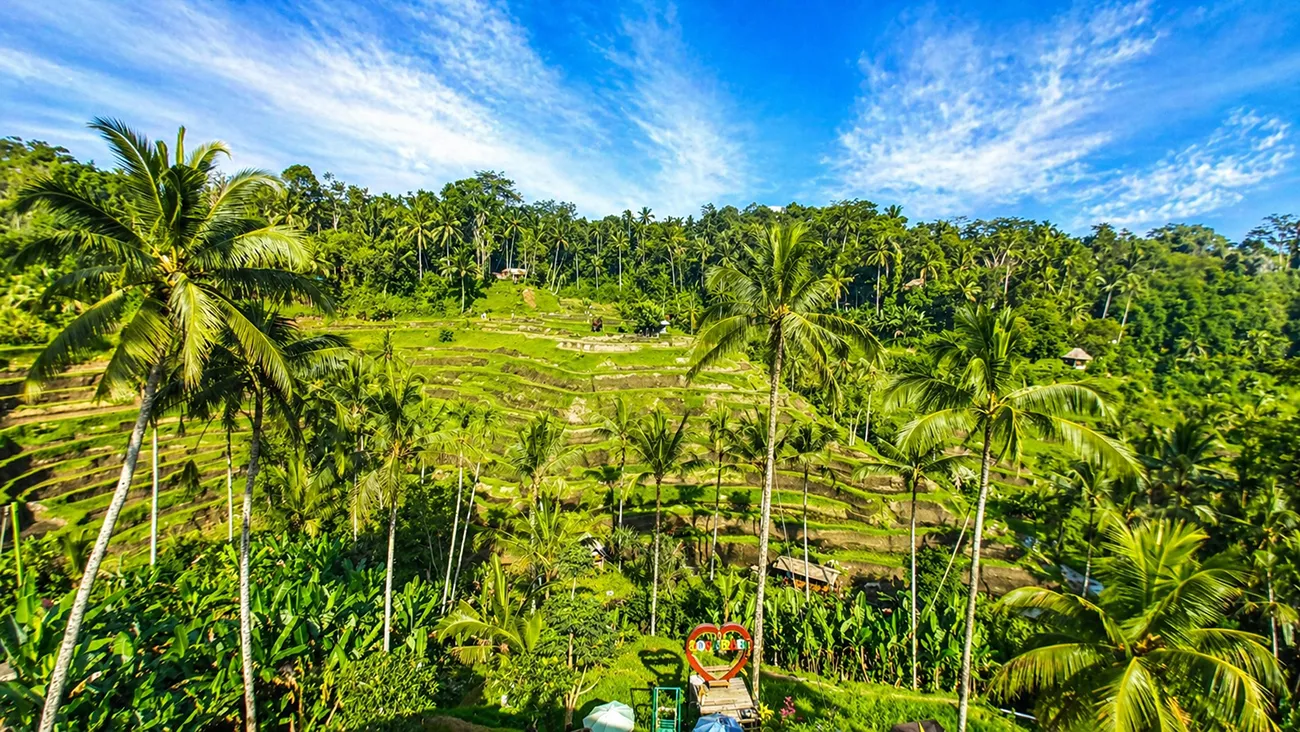 Taman Ujung east bali tour