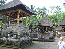central bali tours include tirta empul temple