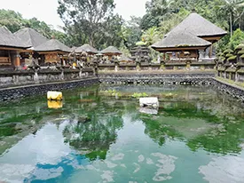 bali purification ritual
