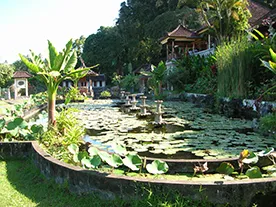 tirta gangga tour bali