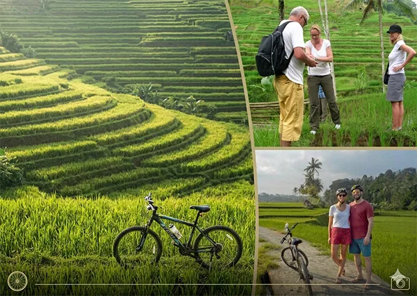 bali-tour