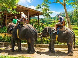 bali elephant tour
