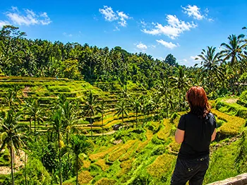 bali  tour