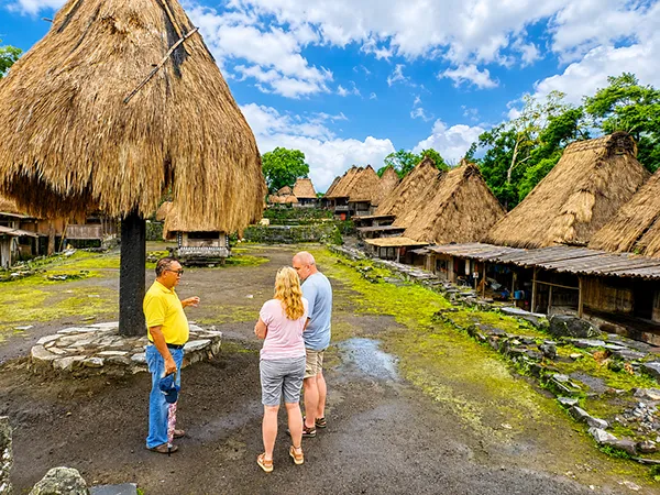  Flores Tours