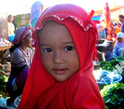 Lombok Tour