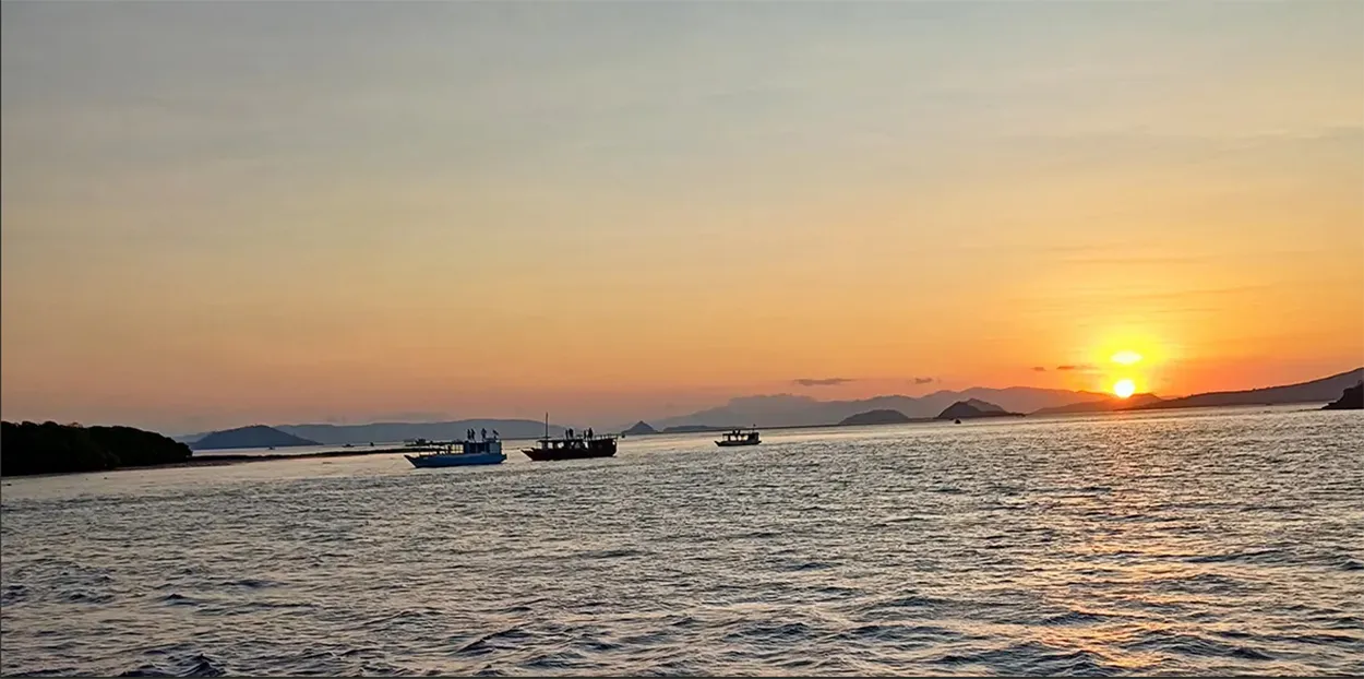  Komodo Tours & cruises 