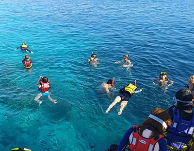 Snorkeling Komodo Tour Bidadari Island