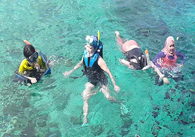 Komodo Tours & cruises
