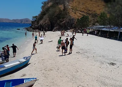  Komodo Tours & cruises 
