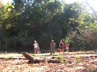 Bidadari Island Komodo Tour