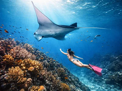  Komodo Tour