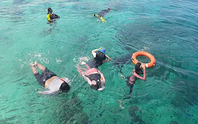  Komodo Tours & cruises