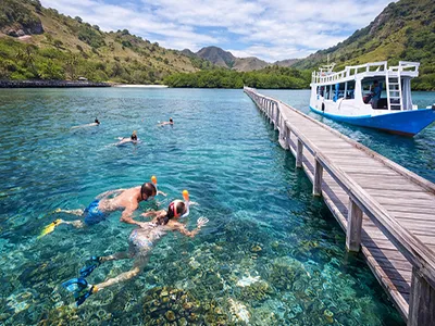 Komodo Tours & cruises