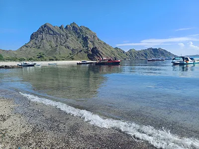 Komodo Tours & cruises