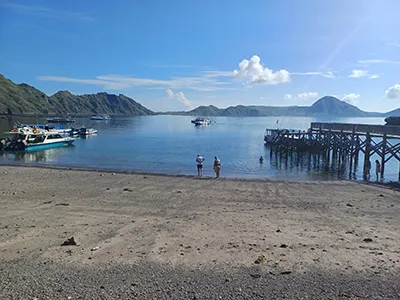  Komodo Tours & cruises 