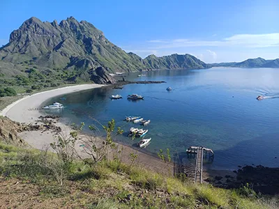  Komodo Tours & cruises 