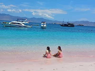 Komodo Tours & cruises
