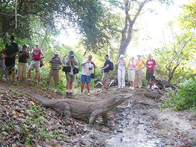  Komodo Tours & cruises 