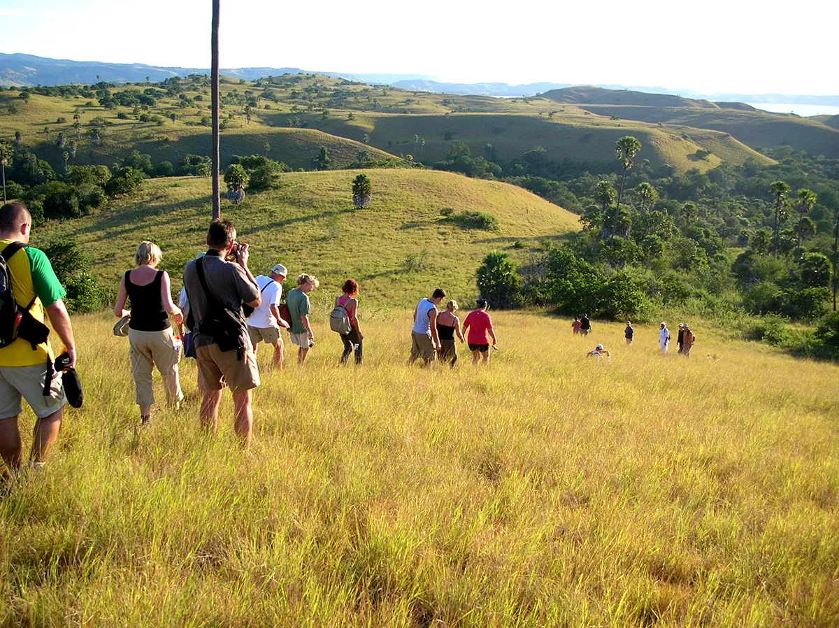  Komodo Tours & cruises 