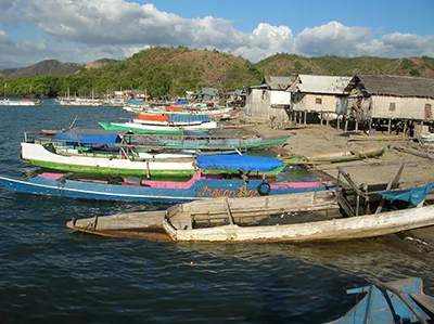  Komodo Tours & cruises