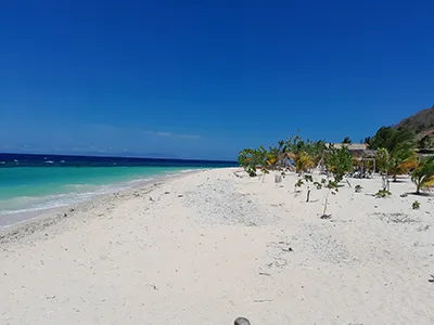  Komodo Tours & cruises 