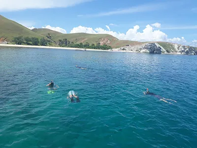  Komodo Tours & cruises 