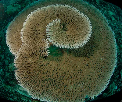  Komodo Tour